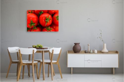 עגבניות – טניה קלימנקו | תמונה לקיר בסגנון מודרני