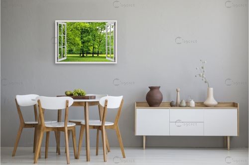 פארק ירוק – Artpicked Windows | תמונה לקיר בסגנון כפרי