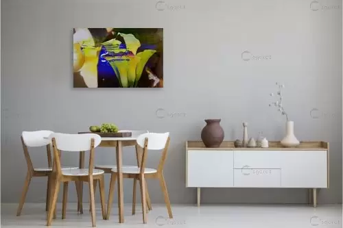 קאלה צהובה ונר כחול  - אירית רוטרובין - תמונות לפינת אוכל מודרנית צילום אבסטרקט  - מק''ט: 384347