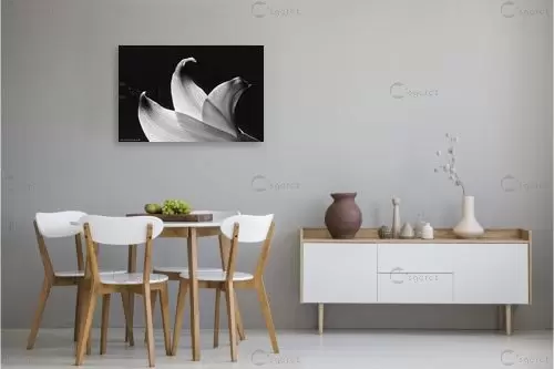 טקסטורה – שרית סלימן | תמונה לקיר בסגנון מודרני