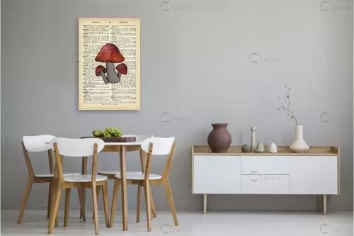 3 פיטריות רטרו על טקסט - Artpicked - תמונות למטבח כפרי פרחים בסגנון רטרו  - מק''ט: 330260
