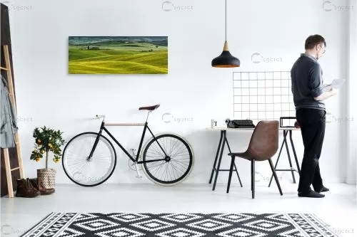 מרבדים ירוקים – דורית ברקוביץ | תמונה לקיר בסגנון כפרי