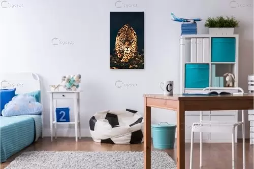 נמר טיגריס שחור זהב מודרני – Artpicked | תמונה לקיר בסגנון מודרני