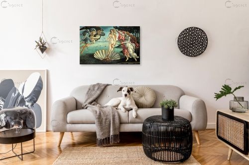 הולדת ונוס	 – סנדרו בוטיצ'לי | תמונה לקיר