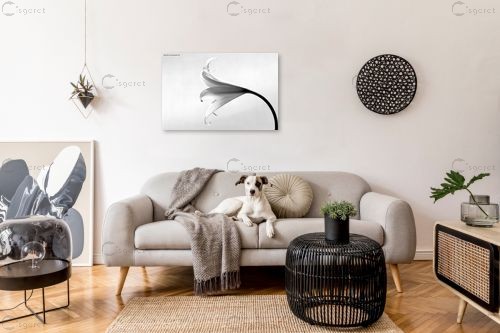 שחור ולבן – שרית סלימן | תמונה לקיר בסגנון מודרני