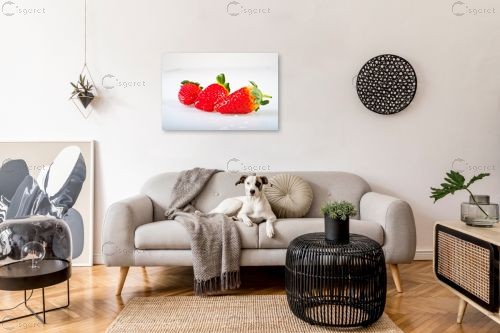 תותים – אילן עמיחי | תמונה לקיר בסגנון מודרני