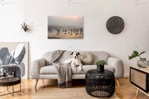עגורים בערפל – איזבלה אלקבץ | תמונה לקיר בסגנון מודרני