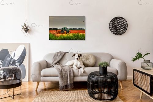 טרקטור וציפורים – מתן הירש | תמונה לקיר בסגנון כפרי