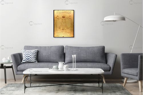 האדם הוויטרובי – לאונרדו דה וינצי | תמונה לקיר