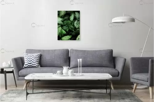 עלים ירוקים - Artpicked - תמונות לחדר שינה מודרני תבניות של פרחים וצמחים  - מק''ט: 329647