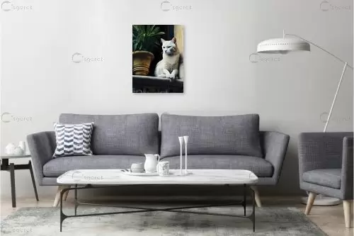 חתול משקיף 02 - שירי שילה - תמונות בעלי חיים עם בינה מלאכותית  - מק''ט: 444865