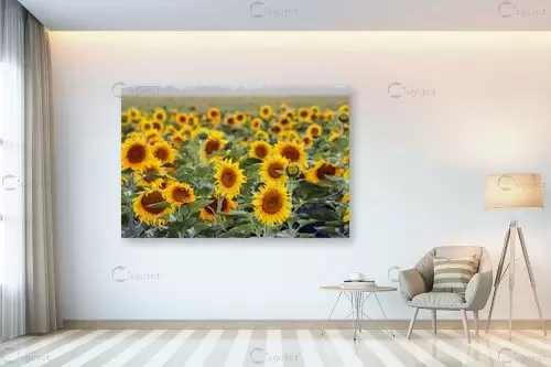 אין מילים... – מיכל פרטיג | תמונה לקיר בסגנון כפרי