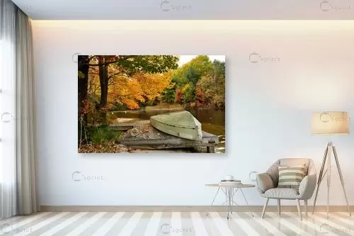 זהב – שוש אבן | תמונה לקיר בסגנון כפרי