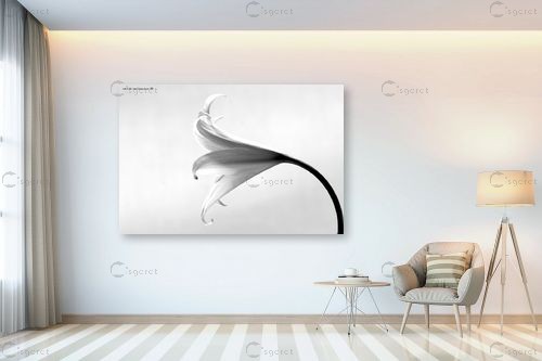 שחור ולבן – שרית סלימן | תמונה לקיר בסגנון מודרני