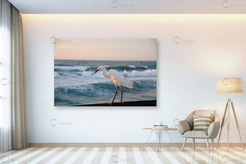 הדייג – אייל הצפון | תמונה לקיר בסגנון ריאליסטי