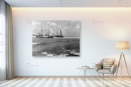 תל אביב 1939 סירות מפרש – דוד לסלו סקלי | תמונה לקיר בסגנון קלאסי