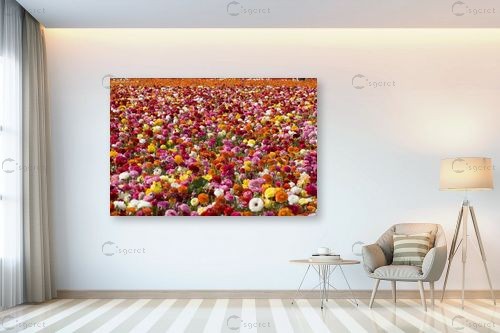 שלל נוריות – שרית סלימן | תמונה לקיר בסגנון מודרני