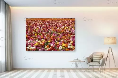 שלל נוריות – שרית סלימן | תמונה לקיר בסגנון מודרני