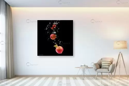 רימונים במים – קובי פרידמן | תמונה לקיר בסגנון מודרני