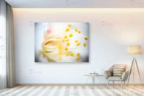 אבקנים בחלל – רן זיסוביץ | תמונה לקיר בסגנון מודרני