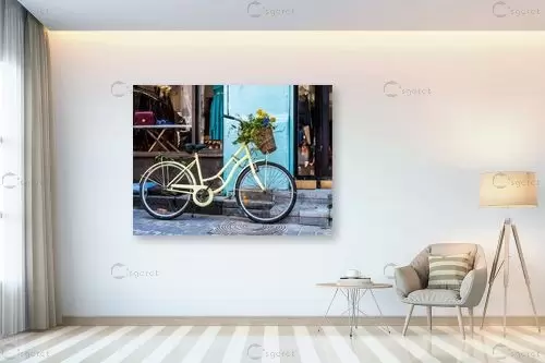 אופניים פרחוניות - רן זיסוביץ - תמונות אורבניות לסלון טבע דומם בצילום  - מק''ט: 201865