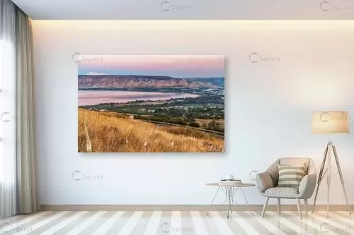 חצבים עם נוף לכנרת - מיכאל שמידט - תמונות לסלון כפרי  - מק''ט: 273547
