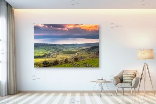 שעת הזהב בכנרת <3 – מיכאל שמידט | תמונה לקיר בסגנון כפרי