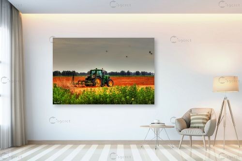 טרקטור וציפורים – מתן הירש | תמונה לקיר בסגנון כפרי