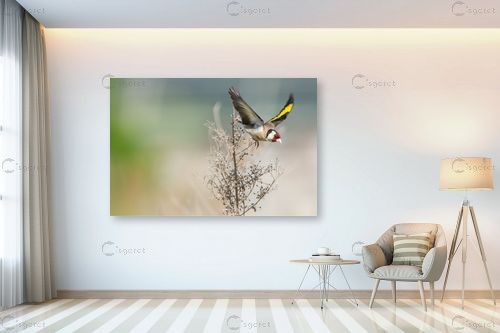 חוחית – אייל הצפון | תמונה לקיר בסגנון כפרי