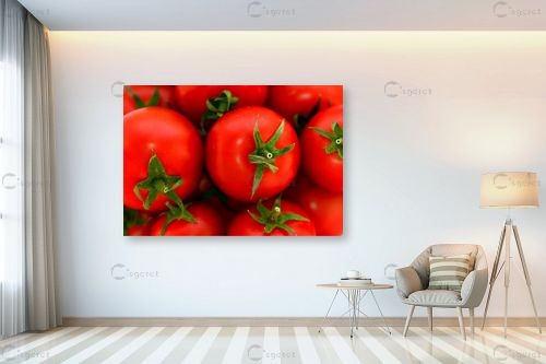 עגבניות – טניה קלימנקו | תמונה לקיר בסגנון מודרני