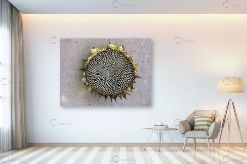 מנדלה של הטבע – מיכל פרטיג | תמונה לקיר בסגנון כפרי