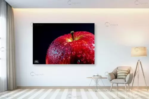 תפוח אדום - קובי פרידמן - תמונות למטבח כפרי תמונות תקריב מאקרו  - מק''ט: 429399
