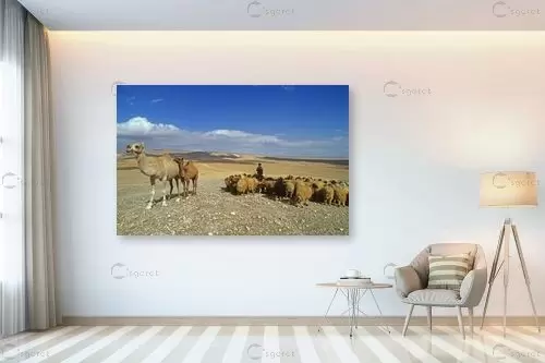עדר במדבר - אייל ברטוב -  - מק''ט: 429953