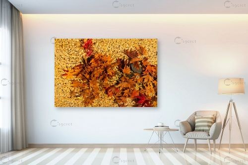 גלי השלכת – דורון טאובר | תמונה לקיר בסגנון כפרי