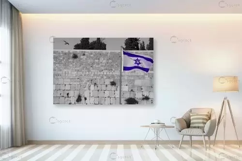 דגל ישראל - אלי נגר -  - מק''ט: 48595