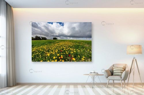 עצי אלון בשדה פרחים – שחר חנין | תמונה לקיר בסגנון מודרני