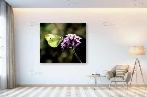 לבנין – מיכל פרטיג | תמונה לקיר בסגנון מודרני