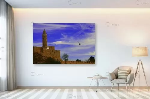 מגדל דוד - אלי נגר -  - מק''ט: 86820