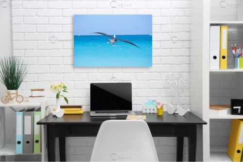 שקנאי – ניר אלון | תמונה לקיר בסגנון מודרני