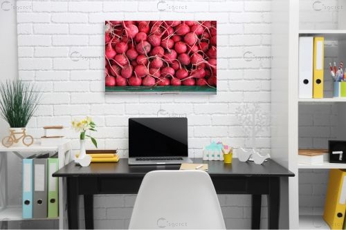 צנוניות – דן ששתיאל | תמונה לקיר בסגנון כפרי