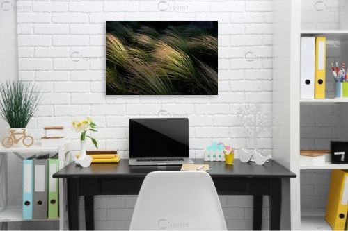 ברוח – אילן עמיחי | תמונה לקיר בסגנון מודרני