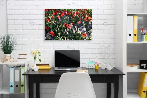 זר פרחים הבאתי לך - אורי לינסקיל - תמונות צבעוניות לסלון  - מק''ט: 415532
