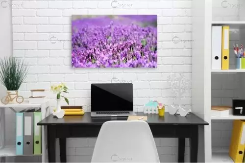 לבנדר חורפי – אורית גפני | תמונה לקיר בסגנון כפרי