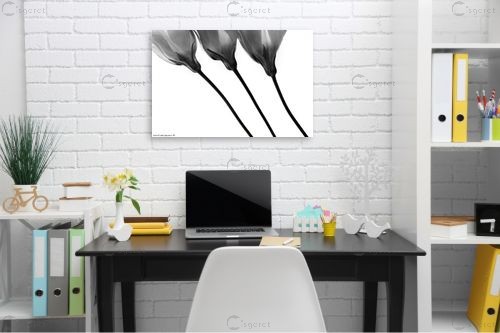 מנורת שולחן – שרית סלימן | תמונה לקיר בסגנון מינימליסטי