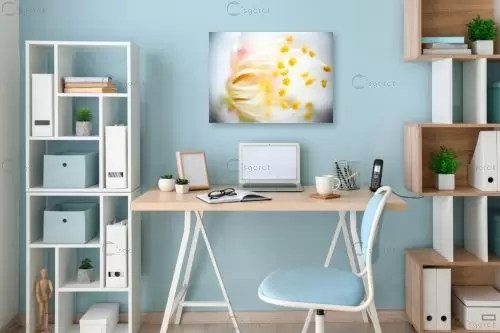 אבקנים בחלל – רן זיסוביץ | תמונה לקיר בסגנון מודרני