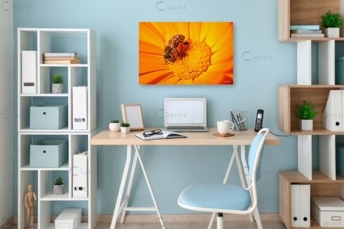 צוף החיים – מיכאל שמידט | תמונה לקיר בסגנון כפרי