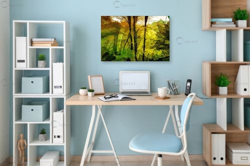 אור ראשון ביער – אורית גפני | תמונה לקיר בסגנון כפרי