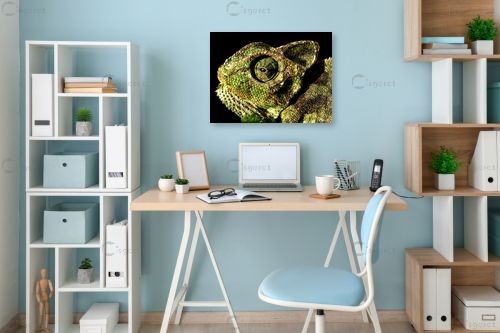 כמו דינוזאור – משה יפה | תמונה לקיר בסגנון ריאליסטי