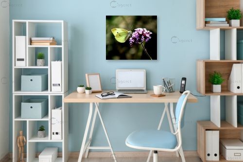 לבנין – מיכל פרטיג | תמונה לקיר בסגנון מודרני