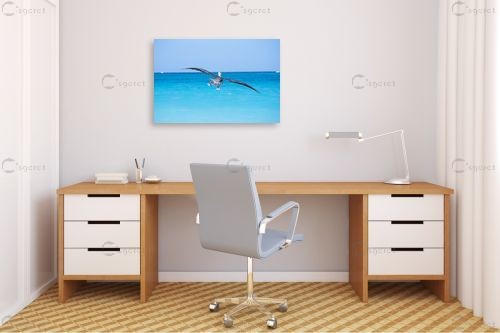 שקנאי – ניר אלון | תמונה לקיר בסגנון מודרני